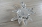Icon_1_bb7e52f4f8d5