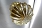 Icon_1_2ac23c70923b